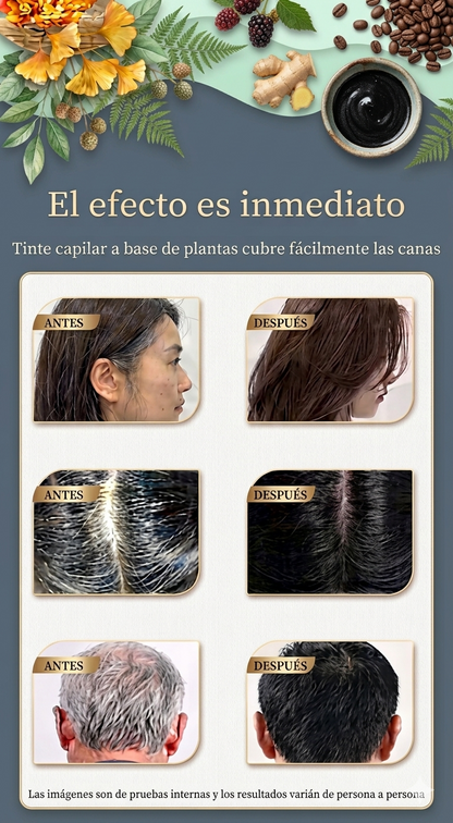 Tratamiento Reversor de Canas BioCrom Advanced 3 en 1